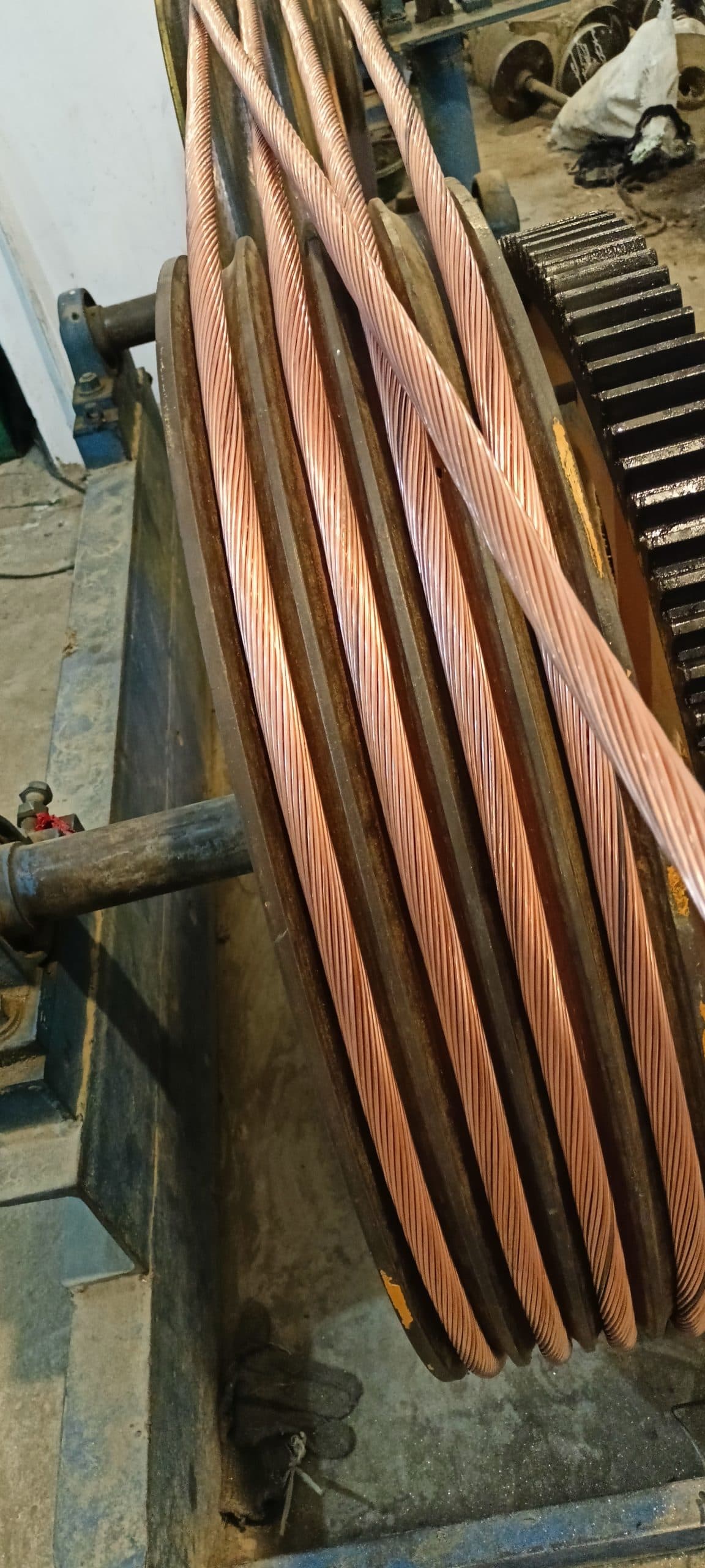 Stranded copper conductors on production machinery at Elite Cables